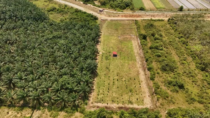 TANAH PERTANIAN (2 EKAR)