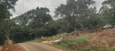 SP110 - TANAH DUSUN 1.83 EKAR SUBUR UNTUK DIJUAL – KLUANG, JOHOR!