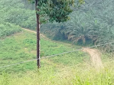 SP41 - TANAH PERTANIAN 3.33 EKAR DI BATU 4 1/2 JALAN TENANG LABIS JOHOR.