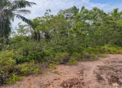 SP147 - Tanah Pertartanian Di Batu 4, Jln Simpang Rengam – Johor Baharu.