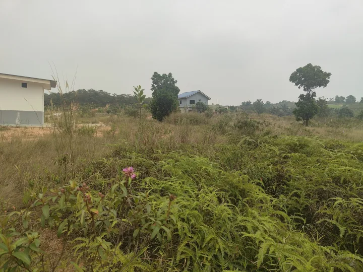 SP112 - TANAH BANGUNAN 2670 SQFT BERGERAN - KAMPUNG MELAYU SEELONG SENAI.