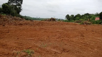 SP36 - TANAH PERTANIAN 4.46 EKAR - BUKIT TANGKONG SEGAMAT.