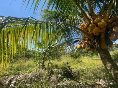⛰️Tanah Untuk Dijual ⛰️ Kg Sri Sempurna, Layang Layang