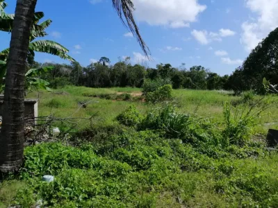 SP26 - TANAH PERTANIAN 2.47 EKAR & 7 BUAH RUMAH - PENGERANG.