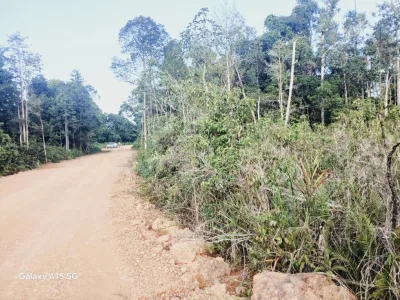 SP80 - TANAH PERTANIAN 1.848 EKAR DI BUKIT PELALI PENGERANG UNTUK DIJUAL.