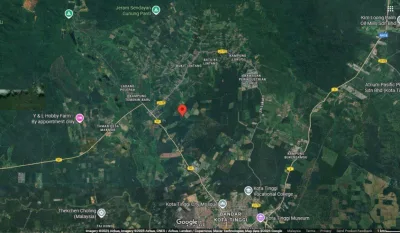 SP53 - TANAH PERTANIAN 8.93 EKAR DI KOTA TINGGI UNTUK DIJUAL