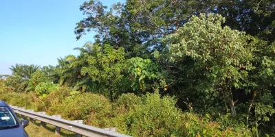 SP146 -TANAH INDUSTRI TEPI BATU 7 JEMENTAH  JALAN BESAR – JARANG ADA!