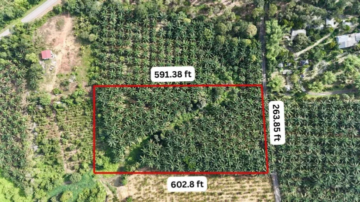 3.6Ac Land @ Kg Lipat Kajang, Kota Tinggi